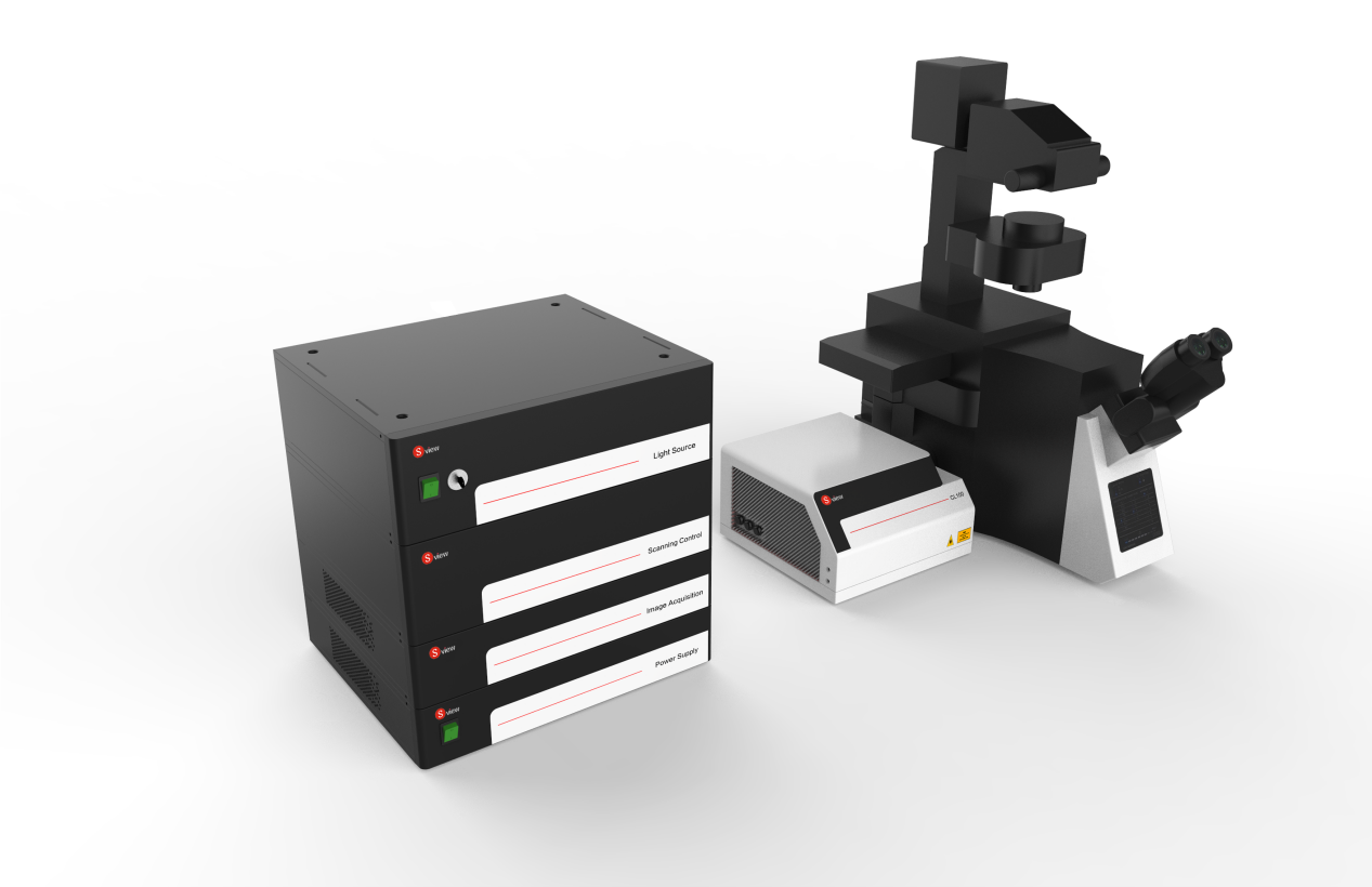 共聚焦渲染图 - 副本(1).png