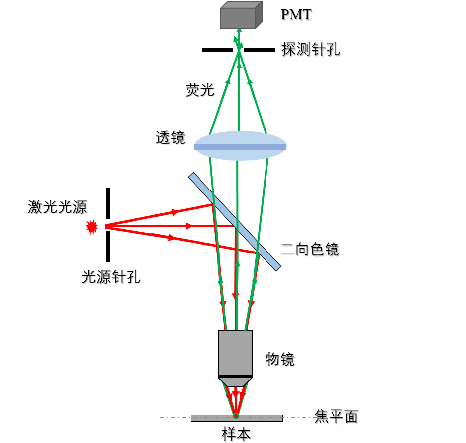 激光扫描共聚焦显微镜(laser scanning confocal microscope)是一种